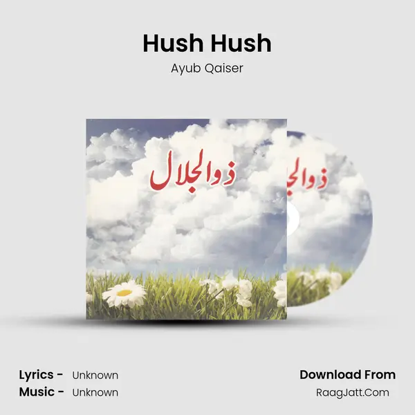 Hush Hush MP3 Song by Ayub Qaiser Cover