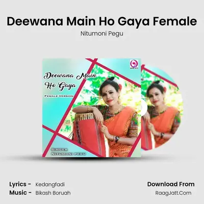 Deewana Main Ho Gaya - 