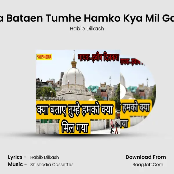 Kya Bataen Tumhe Hamko Kya Mil Gaya MP3 Song by Habib Dilkash Cover