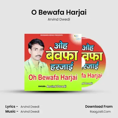 O Bewafa Harjai Cover