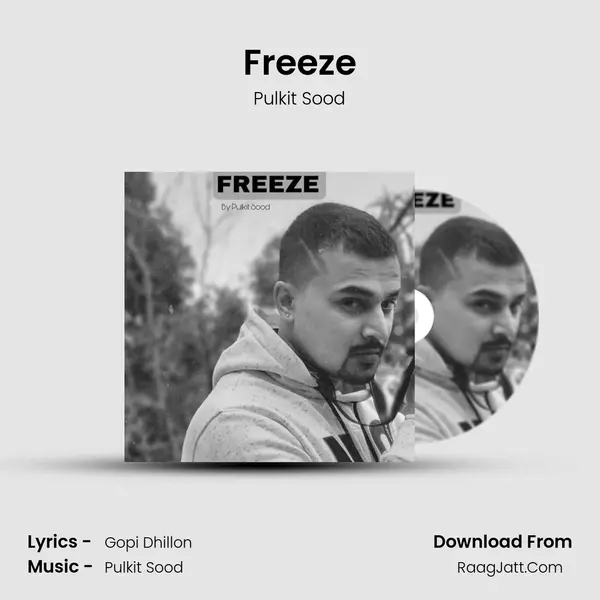 Freeze - Pulkit Sood