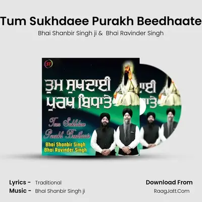 Tum Sukhdaee Purakh Beedhaate mp3 song