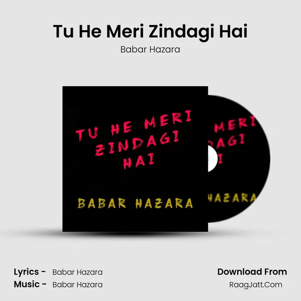 Tu He Meri Zindagi Hai - Babar Hazara