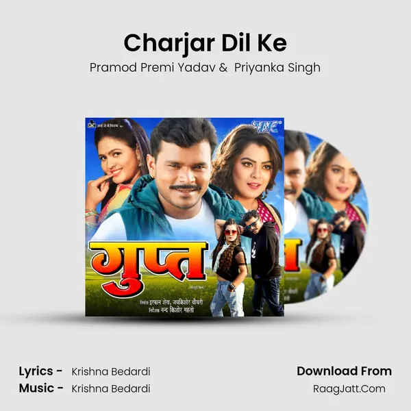 Charjar Dil Ke Cover