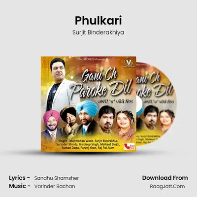 Phulkari MP3 Song by Surjit Binderakhiya Cover
