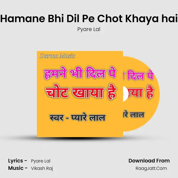 Hamane Bhi Dil Pe Chot Khaya hai mp3 song