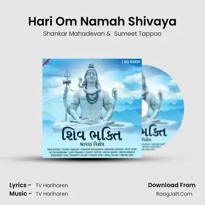 Hari Om Namah Shivaya Cover