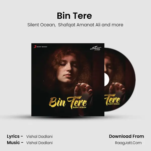 Bin Tere (Lofi Flip) MP3 Song by Silent Ocean Cover