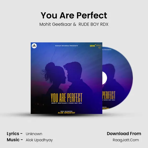 You Are Perfect MP3 Song by Mohit Geetkaar Cover