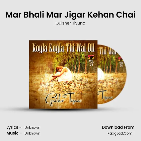 Mar Bhali Mar Jigar Kehan Chai MP3 Song by Gulsher Tiyuno Cover