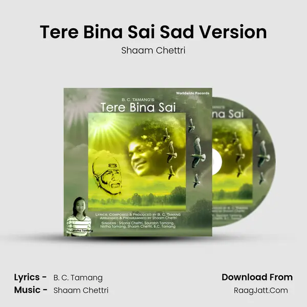 Tere Bina Sai Sad Version MP3 Song by Shaam Chettri Cover