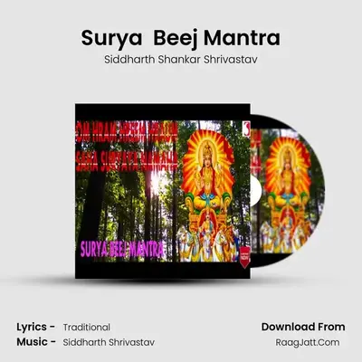 Surya  Beej Mantra MP3 Song by Siddharth Shankar Shrivastav Cover