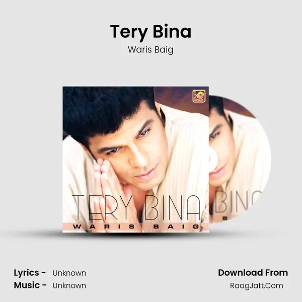 Tery Bina - Single - Waris Baig