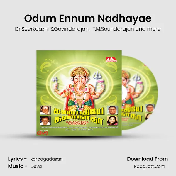 Odum Ennum Nadhayae MP3 Song by Dr.Seerkaazhi S.Govindarajan Cover