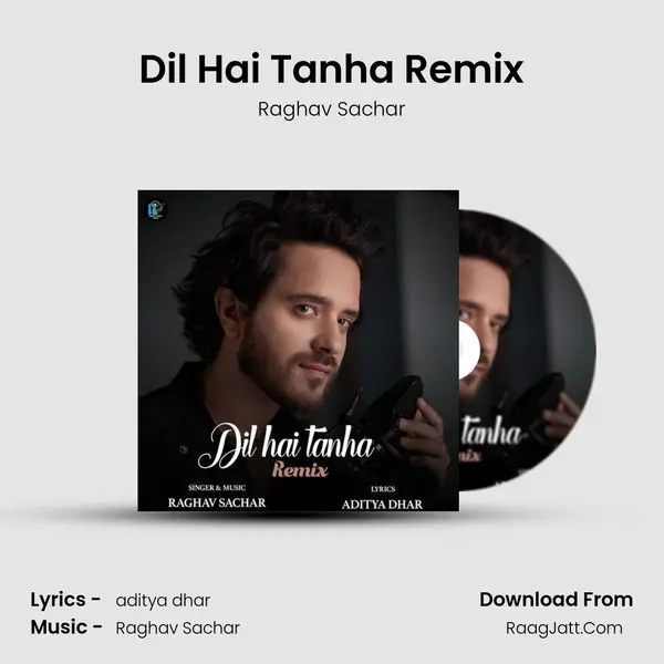 Dil Hai Tanha Remix mp3 song