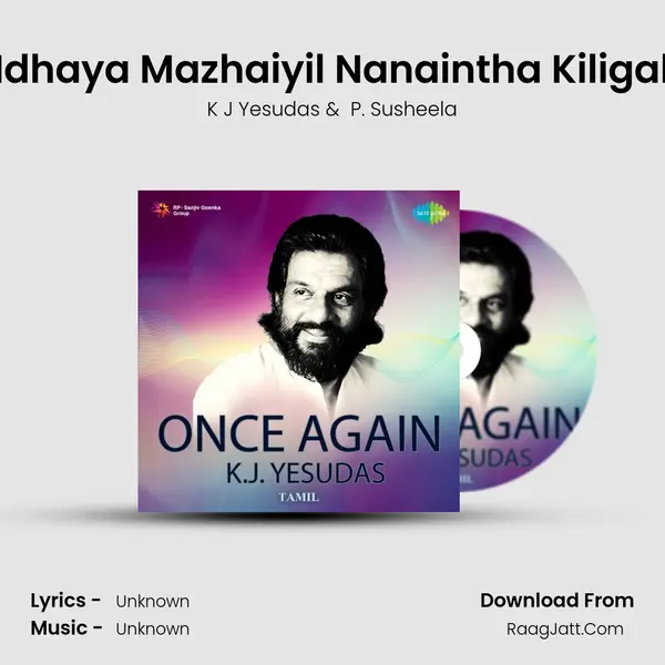 Idhaya Mazhaiyil Nanaintha Kiligal Cover