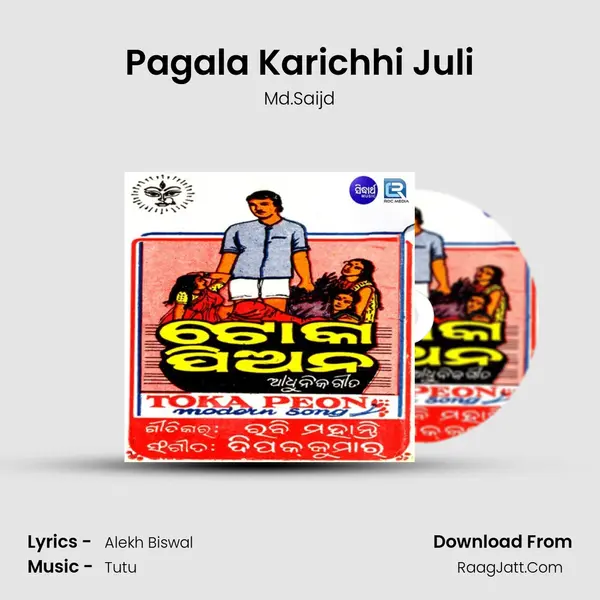 Pagala Karichhi Juli MP3 Song by Md.Saijd Cover