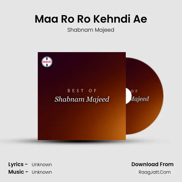 Maa Ro Ro Kehndi Ae MP3 Song by Shabnam Majeed Cover