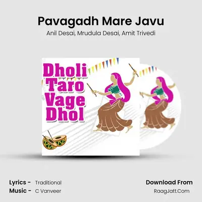 Pavagadh Mare Javu MP3 Song by Anil Desai Cover