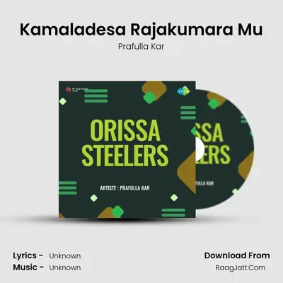 Orissa Steelers - Prafulla Kar