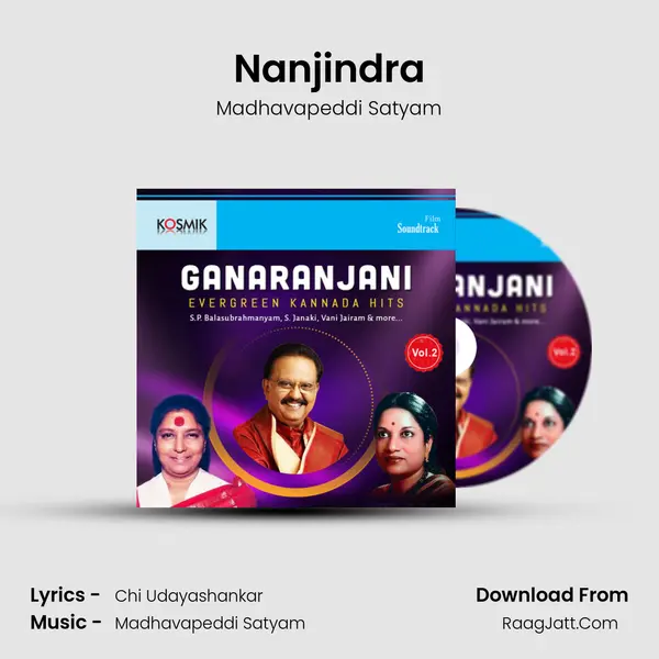 Nanjindra MP3 Song by Madhavapeddi Satyam Cover