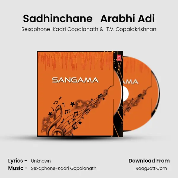 Sadhinchane   Arabhi Adi mp3 song