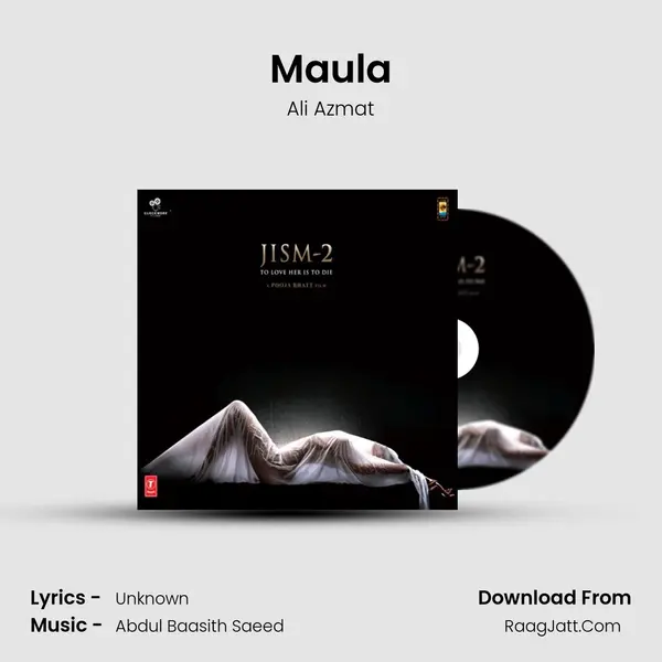Maula MP3 Song by Ali Azmat Cover