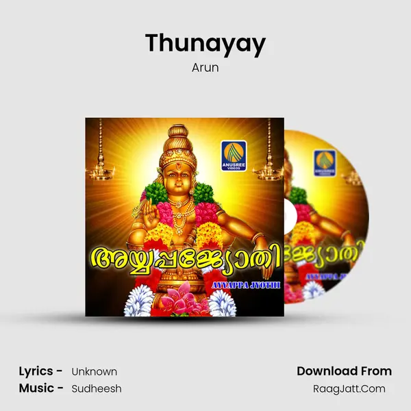 Thunayay MP3 Song by Arun Cover