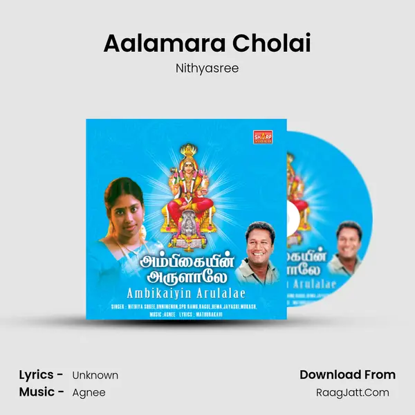 Aalamara Cholai MP3 Song by Nithyasree Cover