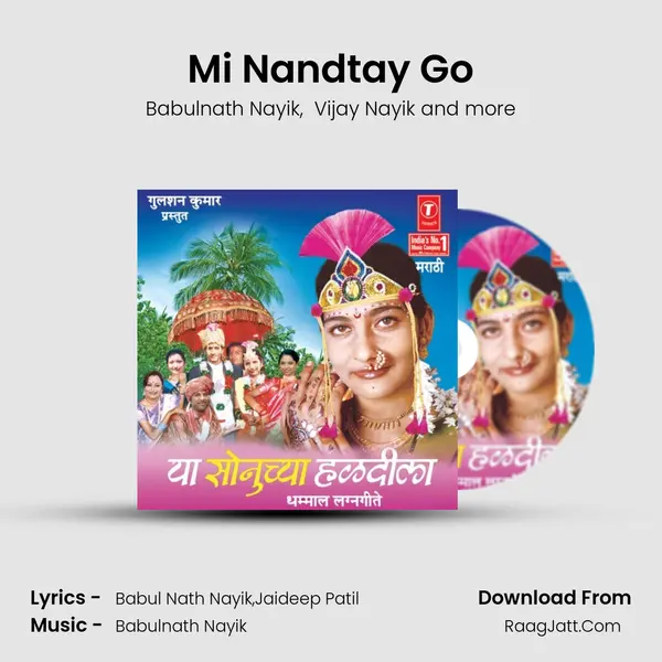 Mi Nandtay Go MP3 Song by Babulnath Nayik Cover