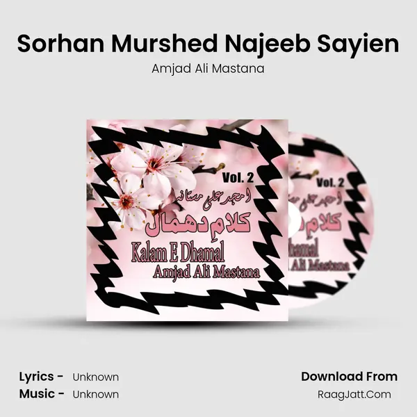 Sorhan Murshed Najeeb Sayien MP3 Song by Amjad Ali Mastana Cover