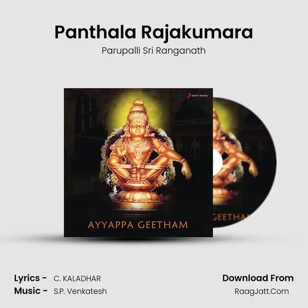 Panthala Rajakumara MP3 Song by Parupalli Sri Ranganath Cover