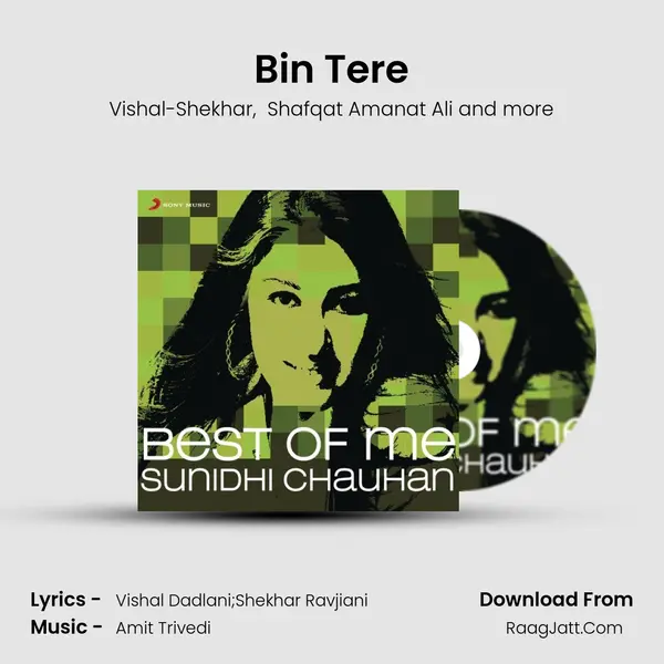 Bin Tere Cover