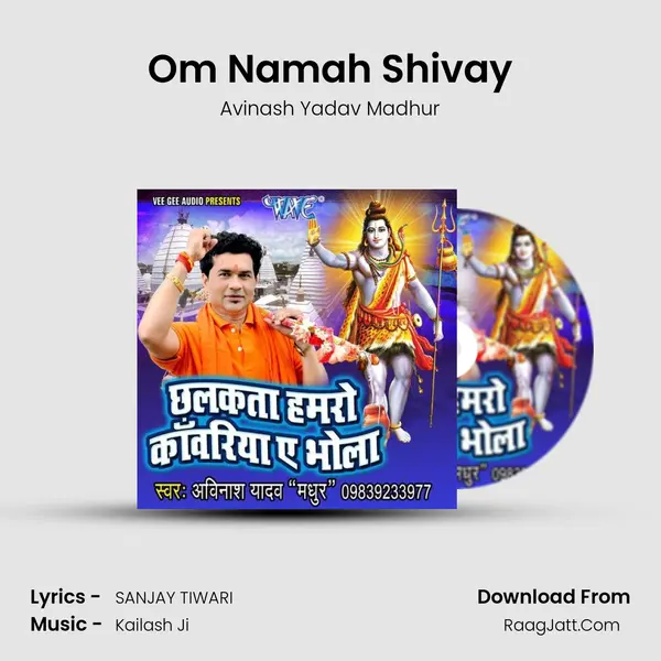 Om Namah Shivay MP3 Song by Avinash Yadav Madhur Cover