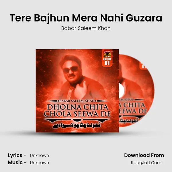 Tere Bajhun Mera Nahi Guzara MP3 Song by Babar Saleem Khan Cover