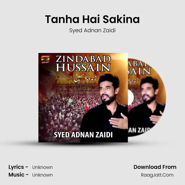 Tanha Hai Sakina MP3 Song by Syed Adnan Zaidi Cover
