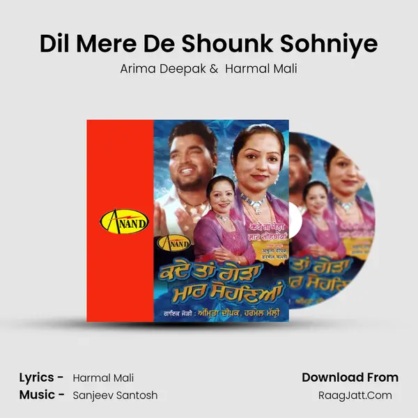 Dil Mere De Shounk Sohniye mp3 song