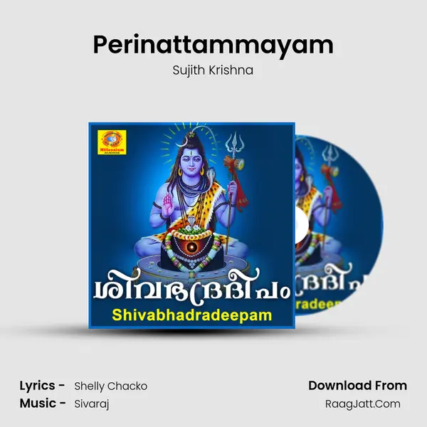 Perinattammayam MP3 Song by Sujith Krishna Cover