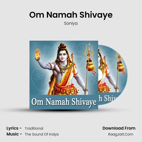 Om Namah Shivaye Cover