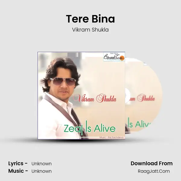 Tere Bina MP3 Song by Vikram Shukla Cover