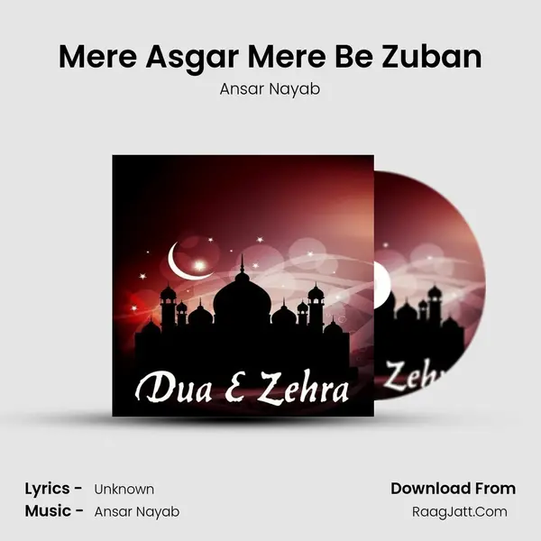Mere Asgar Mere Be Zuban MP3 Song by Ansar Nayab Cover