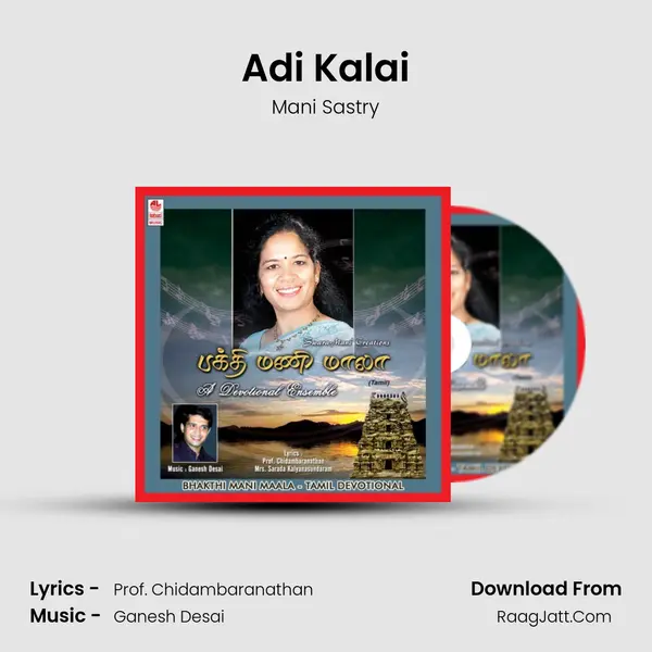 Adi Kalai MP3 Song by Mani Sastry Cover