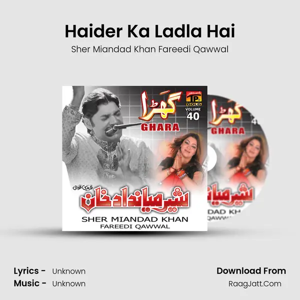 Haider Ka Ladla Hai MP3 Song by Sher Miandad Khan Fareedi Qawwal Cover