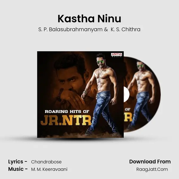 Kastha Ninu Cover
