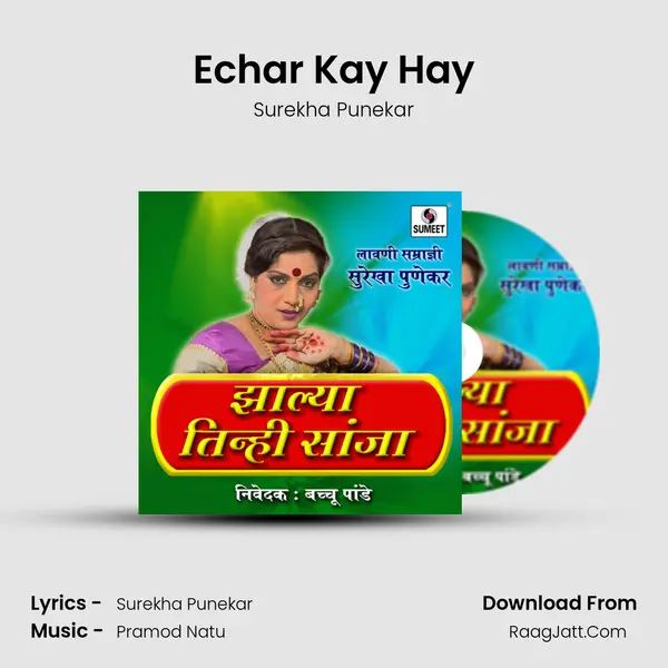 Echar Kay Hay MP3 Song by Surekha Punekar Cover