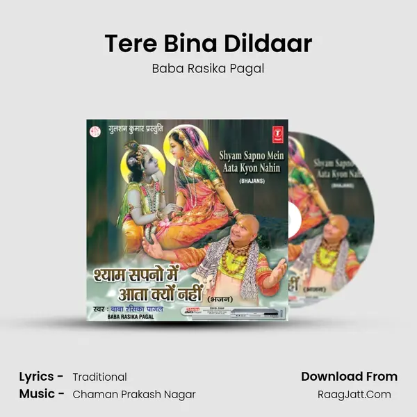 Tere Bina Dildaar MP3 Song by Baba Rasika Pagal Cover
