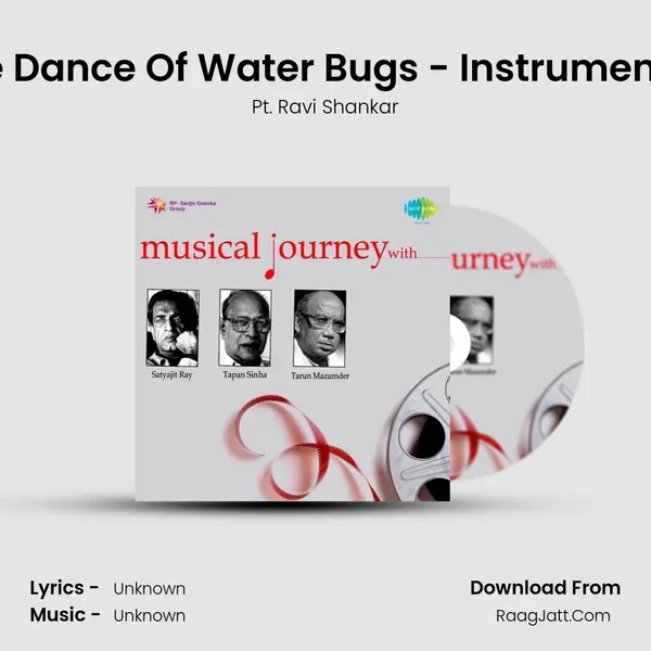 The Dance Of Water Bugs - Instrumental (Pather Panchali) MP3 Song by Pt. Ravi Shankar Cover