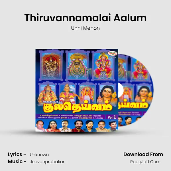 Thiruvannamalai Aalum MP3 Song by Unni Menon Cover