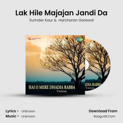 Lak Hile Majajan Jandi Da MP3 Song by Surinder Kaur Cover