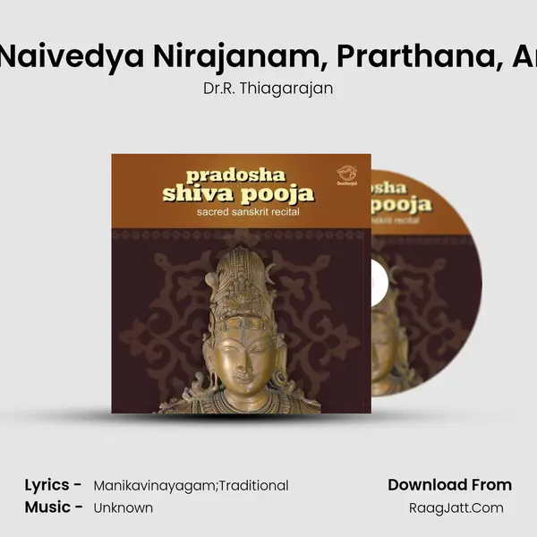 Dhoopa Dipa-Naivedya Nirajanam, Prarthana, Arghyapradana MP3 Song by Dr.R. Thiagarajan Cover